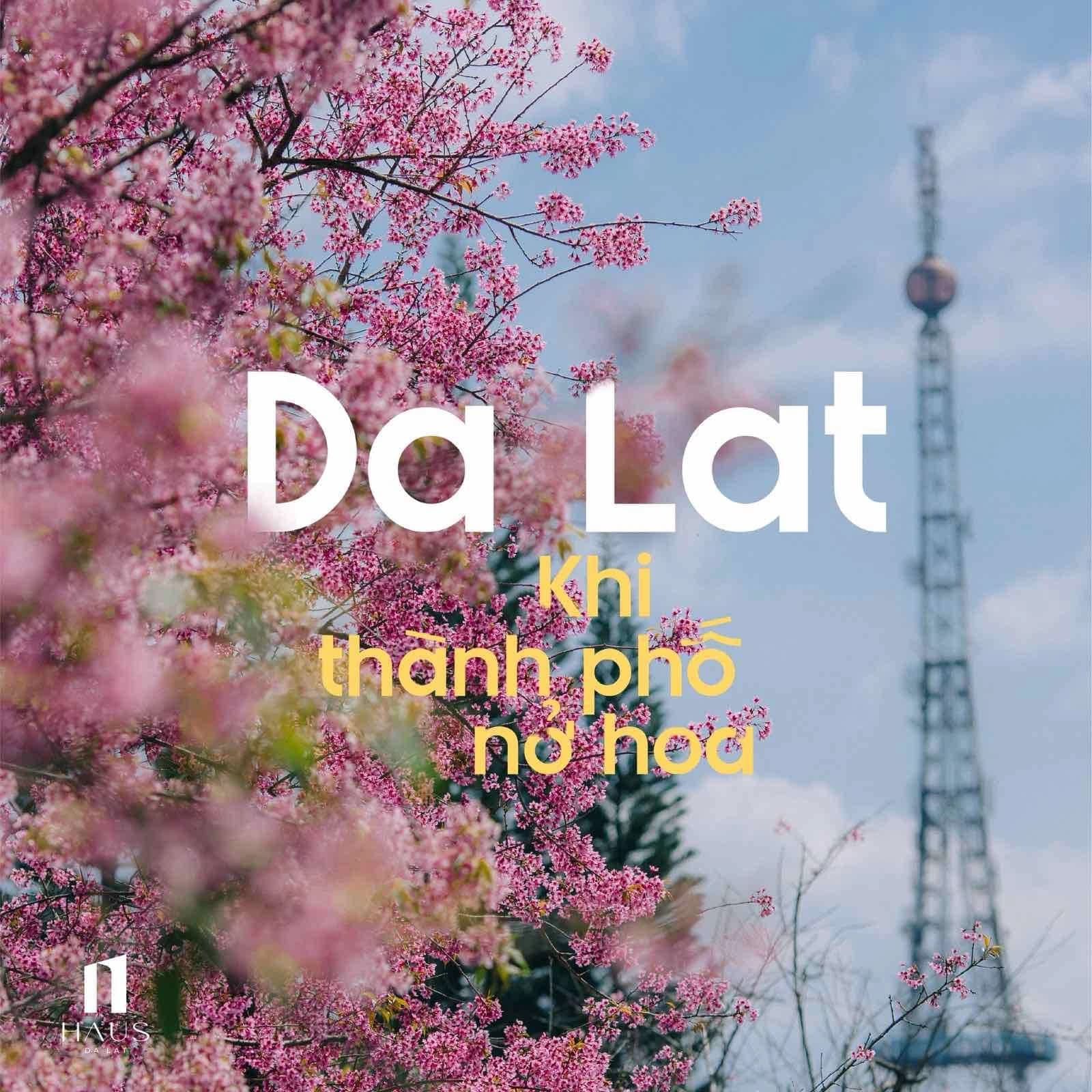 Khi thành phố nở hoa